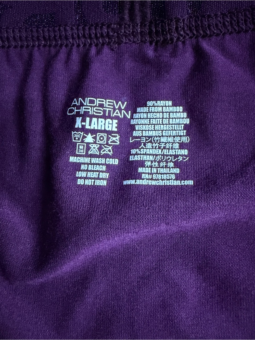 Andrew Christian Trophy Boy Men's Brief X-Large Color: Eggplant - Picture 4 of 5